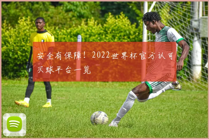 安全有保障！2022世界杯官方认可买球平台一览
