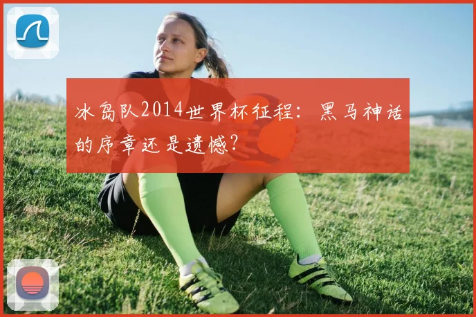 冰岛队2014世界杯征程：黑马神话的序章还是遗憾？